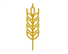 winnipeg icon
